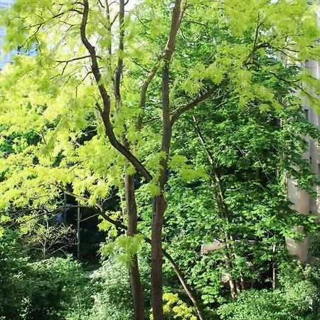 Beautiful Near Luxembourg Gardens Appartement Paris
